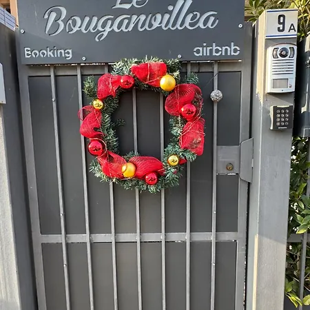 La Bougainvillea 2