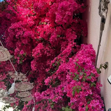 شقة Le Bougainvillea 2